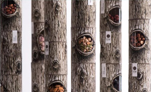 这样的包装太有创意了——包装创意赏析